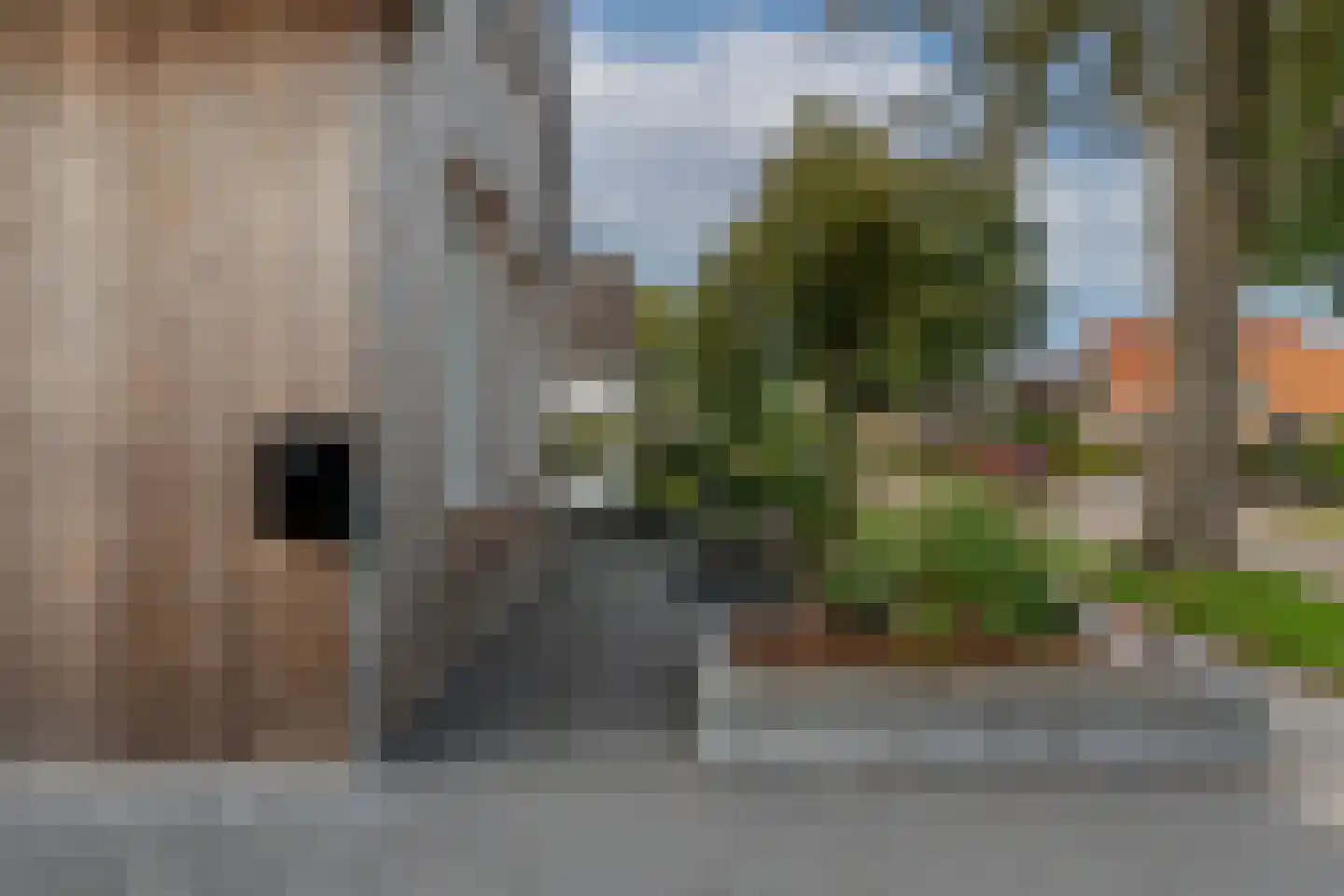 Schoterlandseweg 62 Mildam thumbnail 8