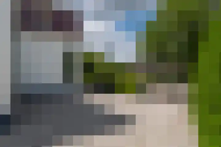 Schoterlandseweg 68 Oudeschoot thumbnail 10