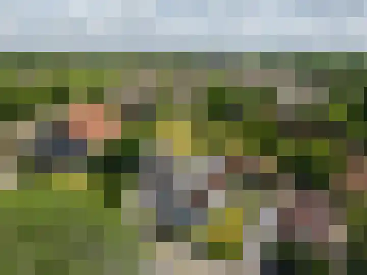 Schoterlandseweg 68 Oudeschoot thumbnail 11