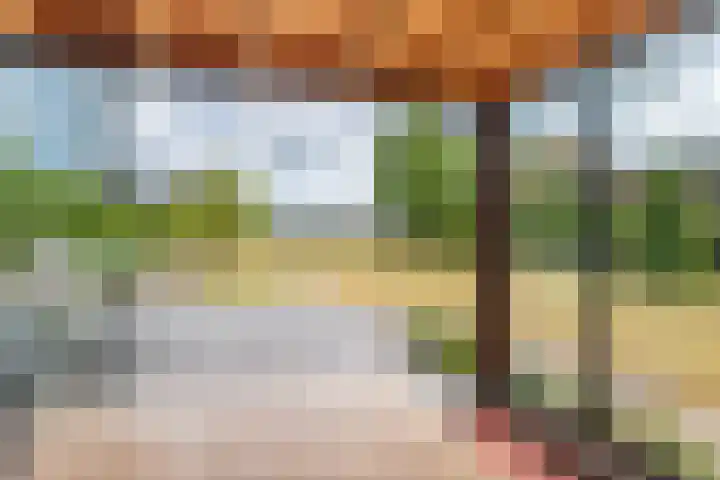 Schoterlandseweg 68 Oudeschoot thumbnail 5
