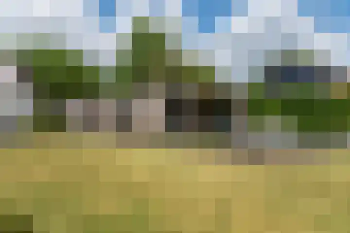 Schoterlandseweg 68 Oudeschoot thumbnail 69