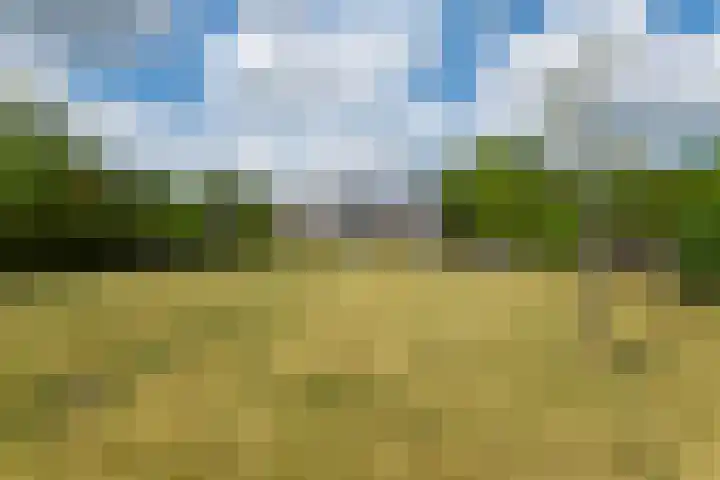 Schoterlandseweg 68 Oudeschoot thumbnail 71