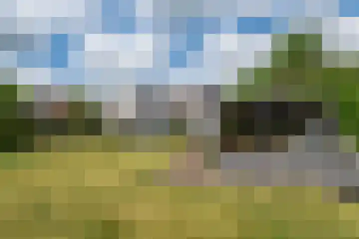 Schoterlandseweg 68 Oudeschoot thumbnail 73