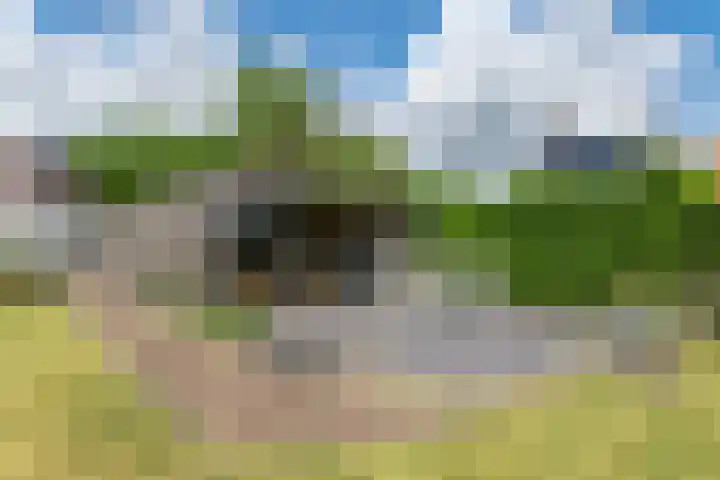Schoterlandseweg 68 Oudeschoot thumbnail 74