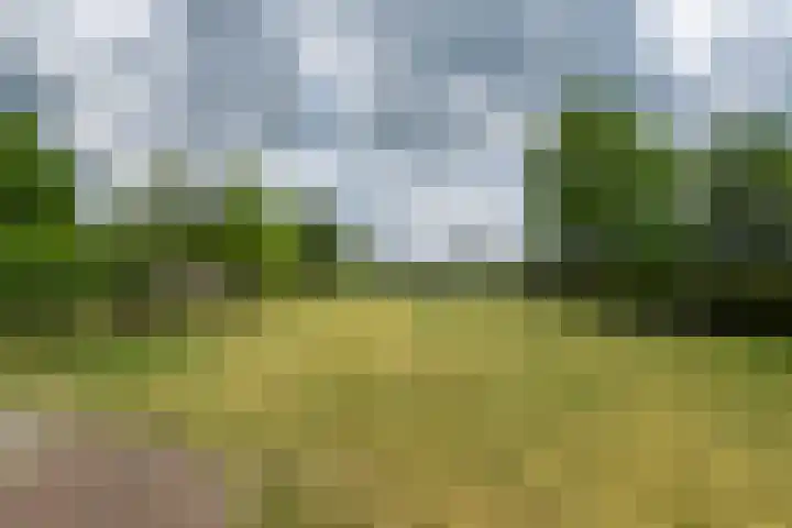 Schoterlandseweg 68 Oudeschoot thumbnail 75