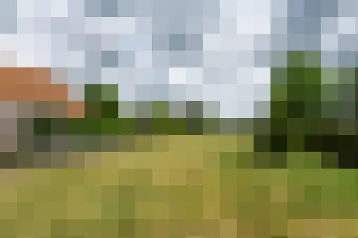 Schoterlandseweg 68 Oudeschoot thumbnail 78