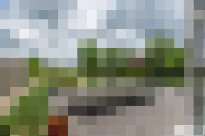 Schoterlandseweg 68 Oudeschoot thumbnail 81