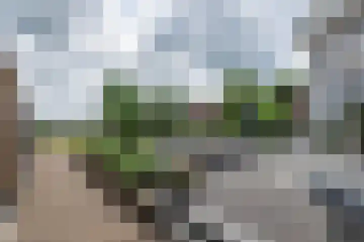 Schoterlandseweg 68 Oudeschoot thumbnail 82