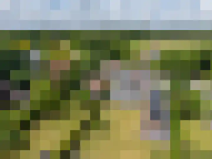 Schoterlandseweg 68 Oudeschoot thumbnail 85
