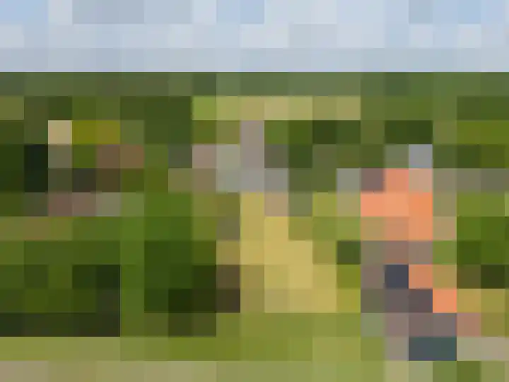 Schoterlandseweg 68 Oudeschoot thumbnail 87