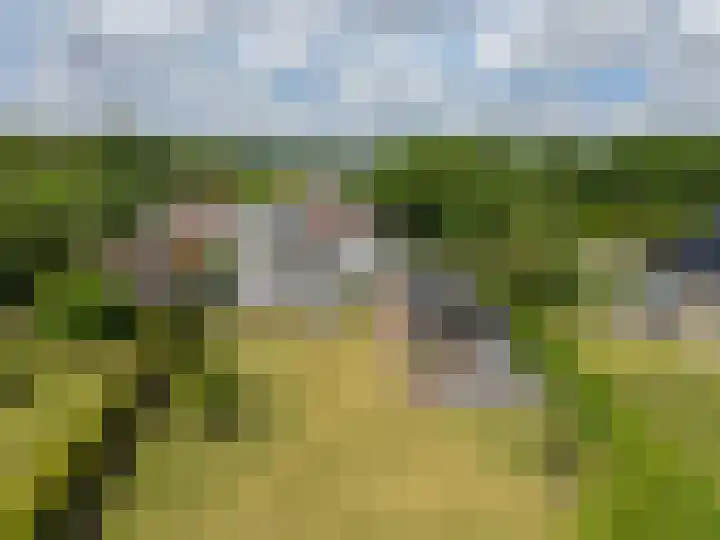 Schoterlandseweg 68 Oudeschoot thumbnail 88