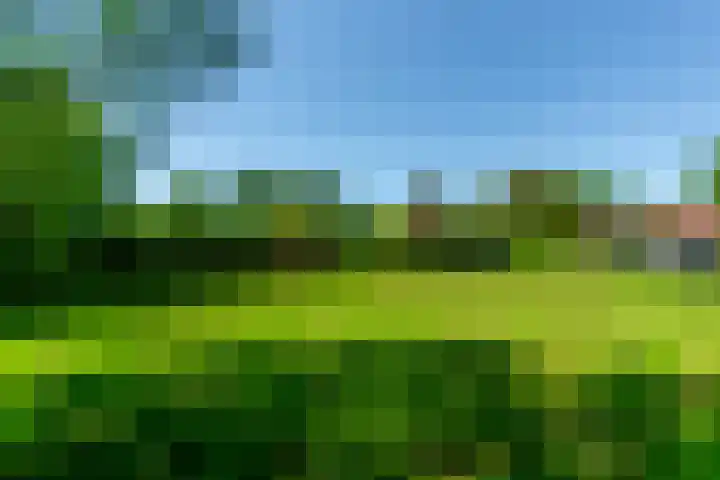 Schoterlandseweg 70 Jubbega thumbnail 21