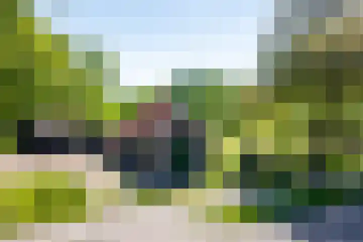 Schoterlandseweg 70 Jubbega thumbnail 24