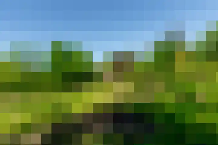 Schoterlandseweg 70 Jubbega thumbnail 25