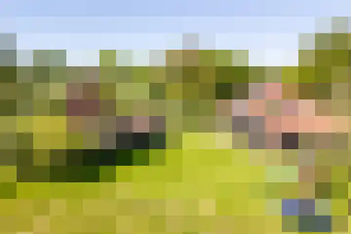 Schoterlandseweg 70 Jubbega thumbnail 8