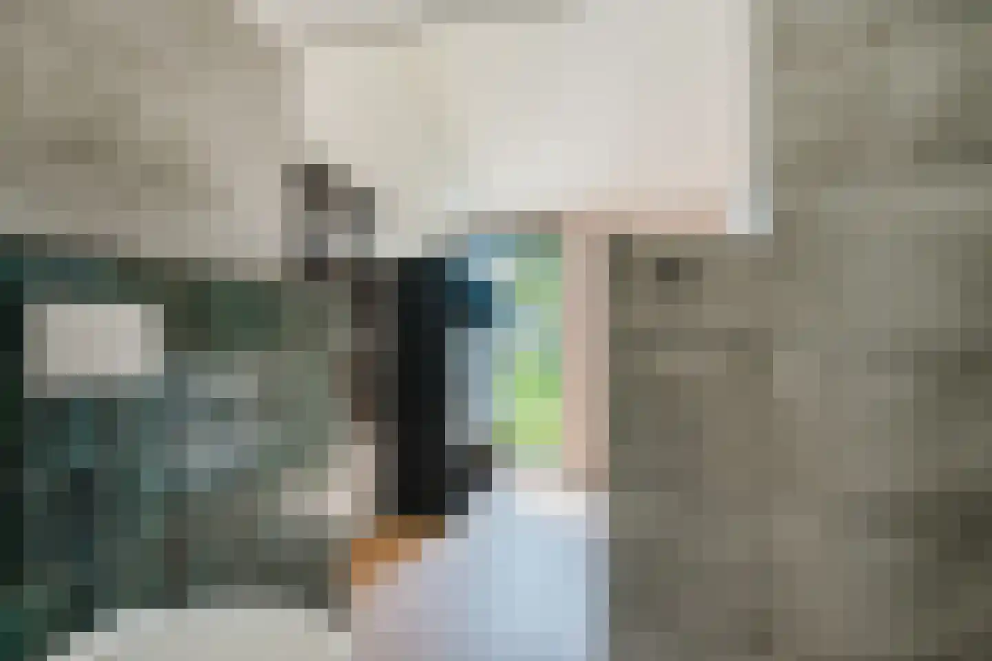 Schoterlandseweg 88 Mildam thumbnail 17