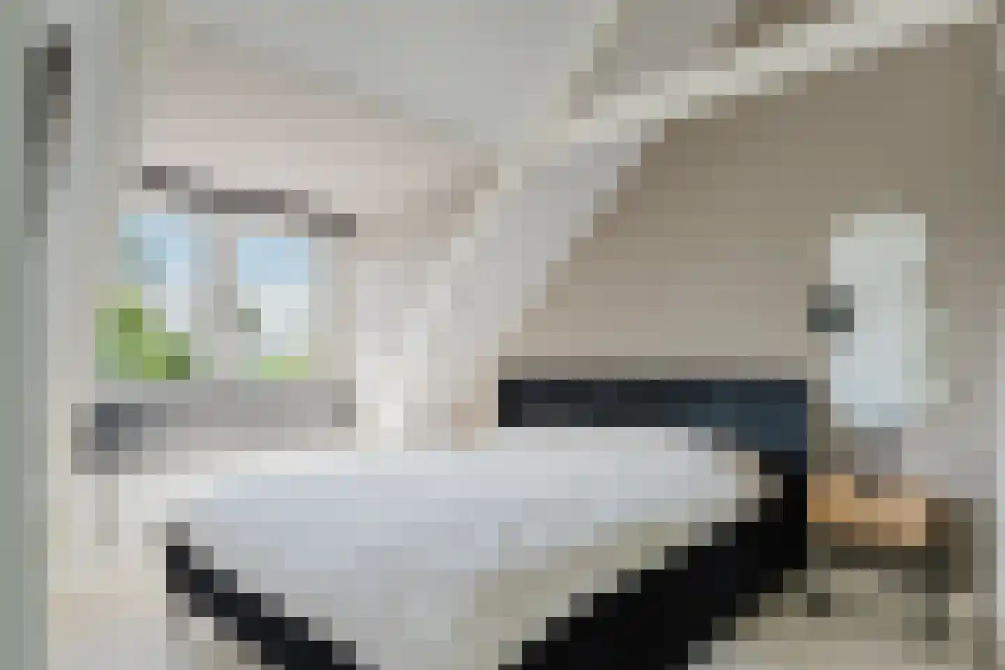 Schoterlandseweg 88 Mildam thumbnail 25