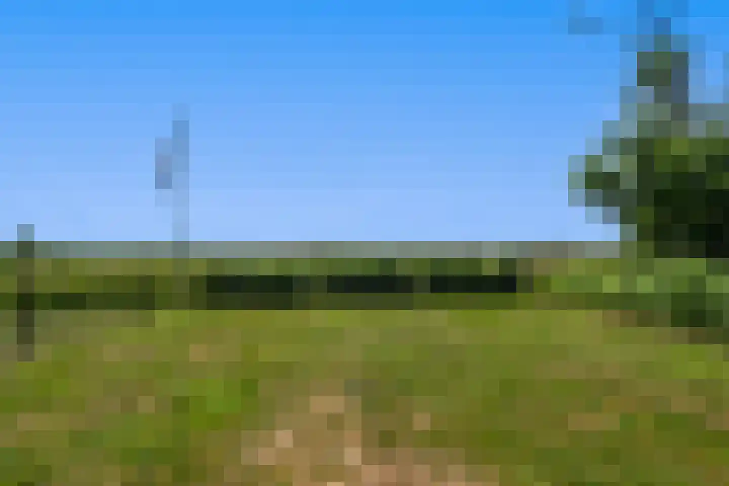 Schoterlandseweg 88 Mildam thumbnail 46