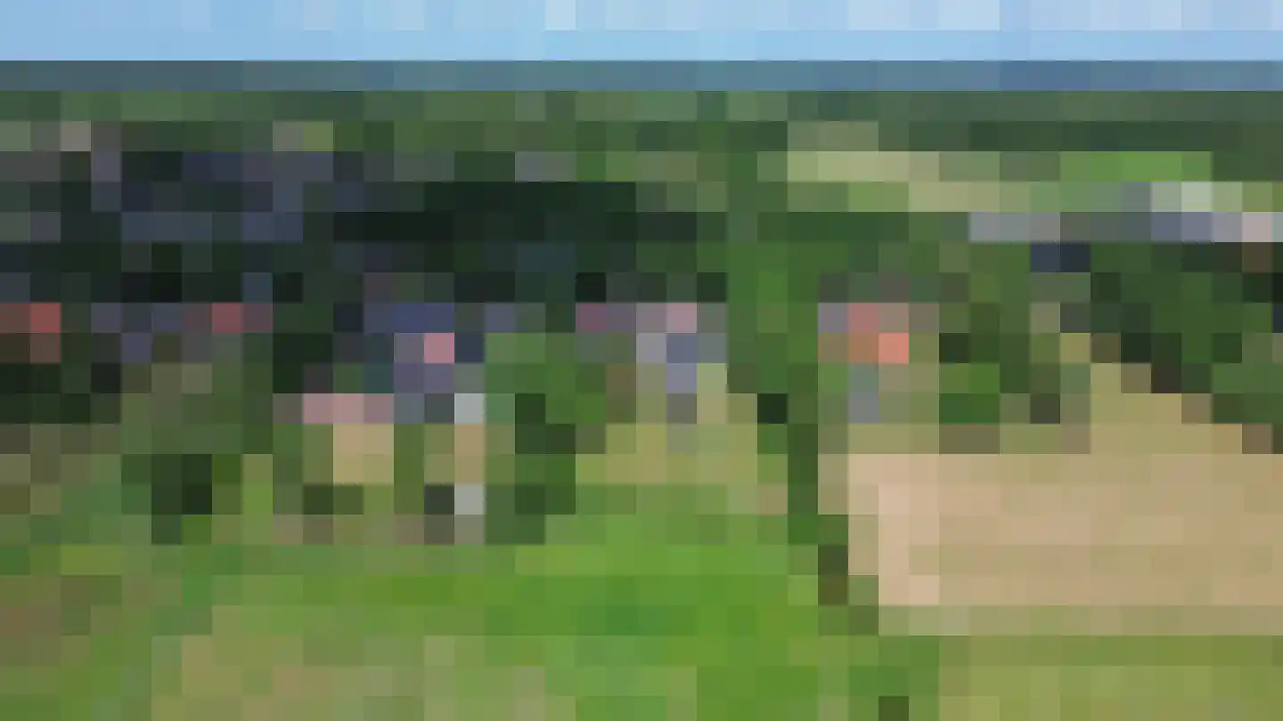 Schoterlandseweg 88 Mildam thumbnail 48