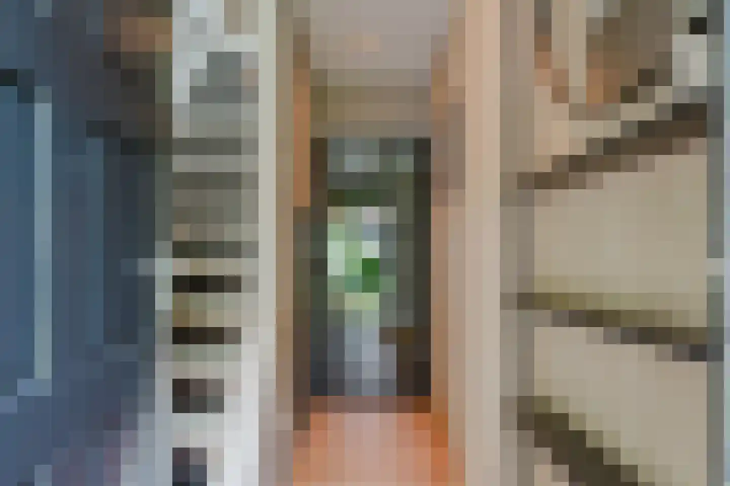 Schoterlandseweg 88 Mildam thumbnail 8