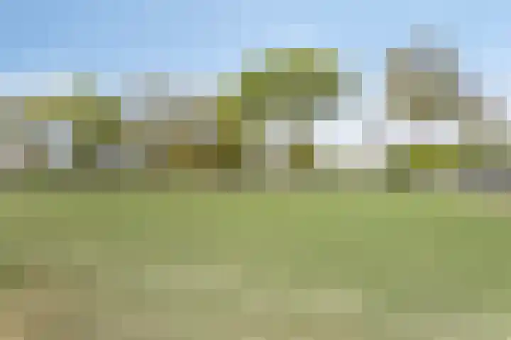 Schoterlandseweg 91 Mildam thumbnail 36