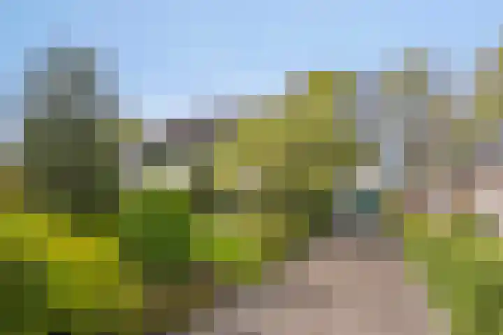 Schoterlandseweg 91 Mildam thumbnail 37