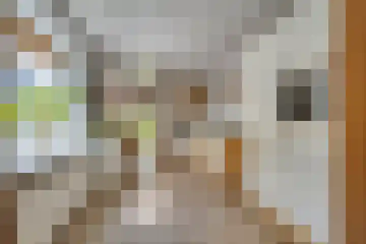 Schoterlandseweg 91 Mildam thumbnail 4