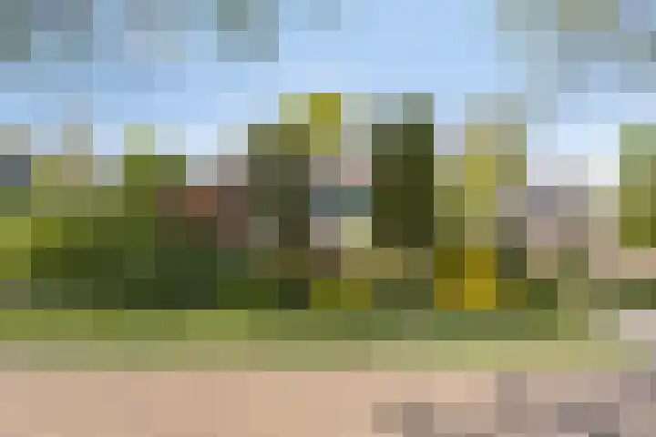 Schoterlandseweg 91 Mildam thumbnail 6