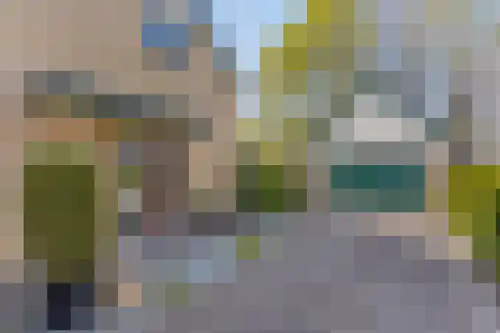 Schoterlandseweg 91 Mildam thumbnail 7