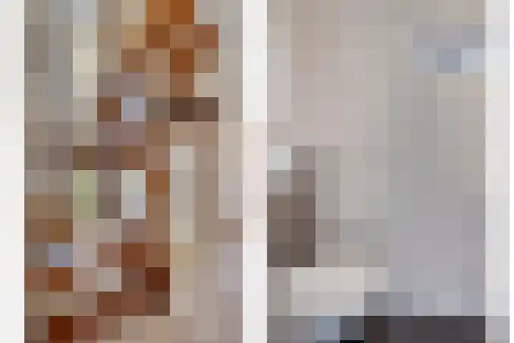 Schoterlandseweg 91 Mildam thumbnail 8