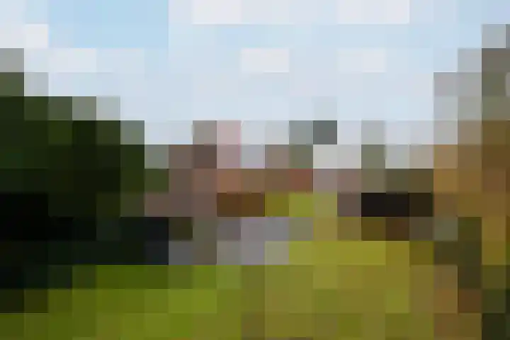 Schoterlandseweg 99 Mildam thumbnail 30