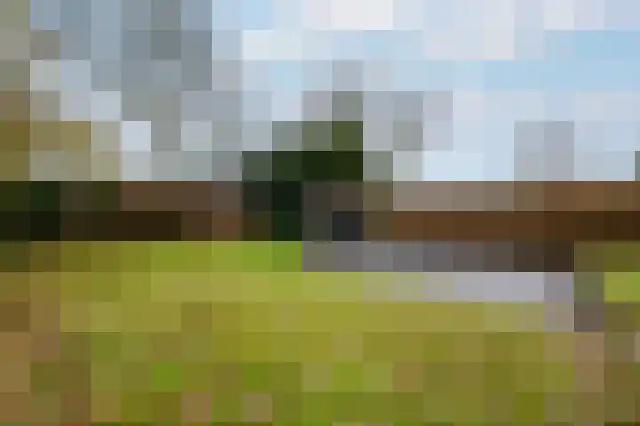 Schoterlandseweg 99 Mildam thumbnail 32