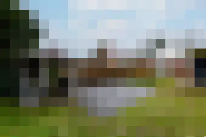 Schoterlandseweg 99 Mildam thumbnail 33