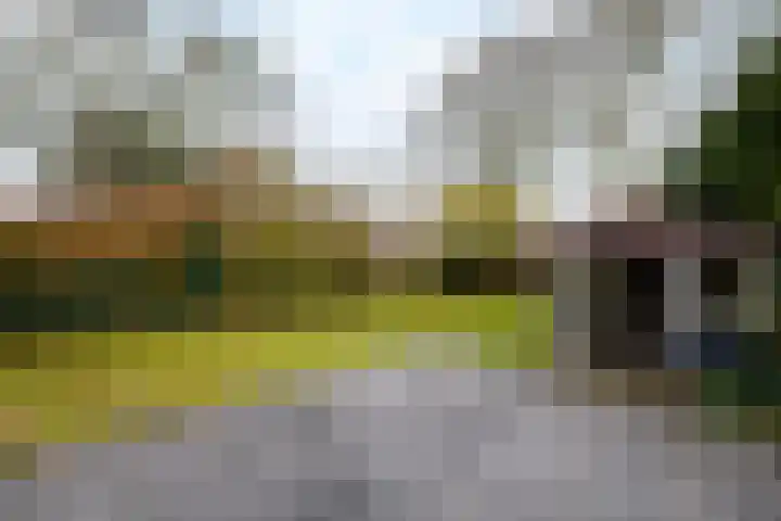 Schoterlandseweg 99 Mildam thumbnail 35