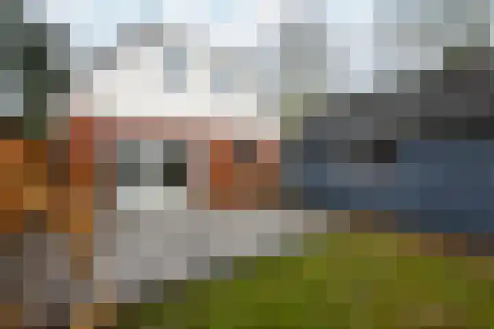 Schoterlandseweg 99 Mildam thumbnail 36