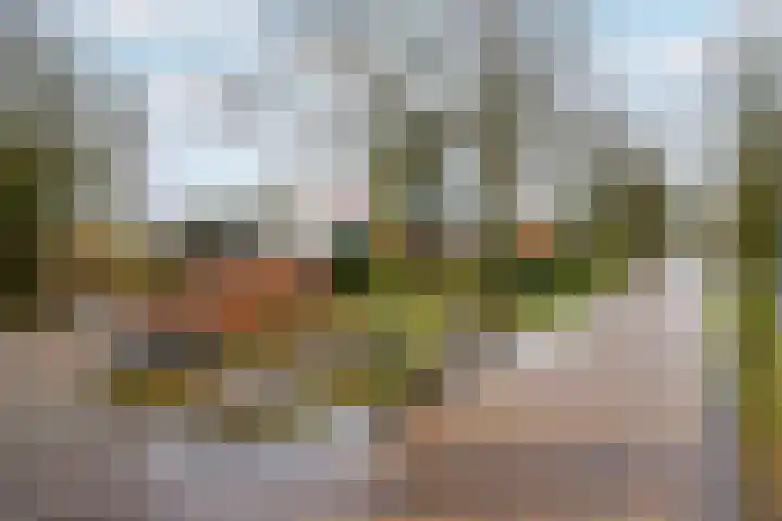 Schoterlandseweg 99 Mildam thumbnail 39
