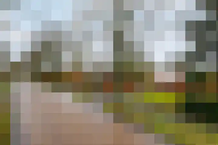 Schoterlandseweg 99 Mildam thumbnail 40