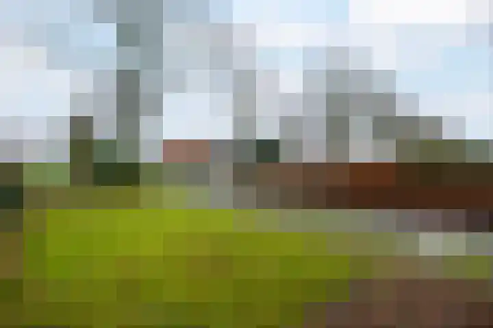Schoterlandseweg 99 Mildam thumbnail 41