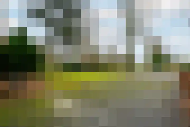 Schoterlandseweg 99 Mildam thumbnail 42