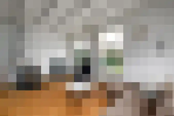 Schoterlandseweg 99 Mildam thumbnail 5