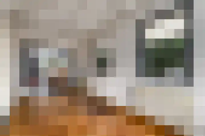 Schoterlandseweg 99 Mildam thumbnail 8