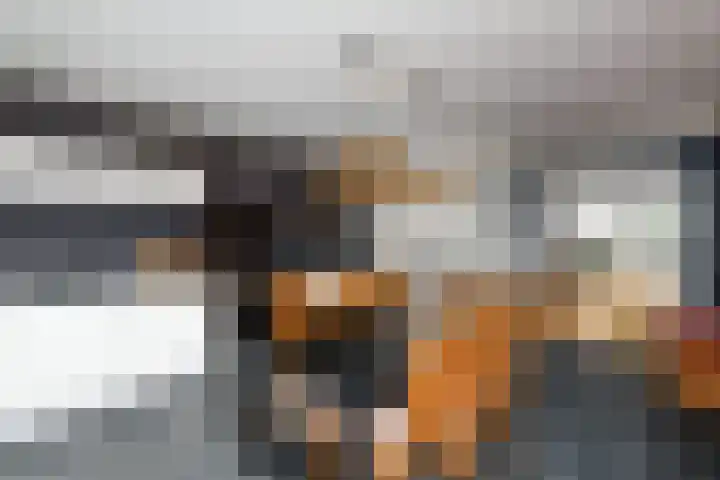 Schoterlandseweg 99 Mildam thumbnail 9