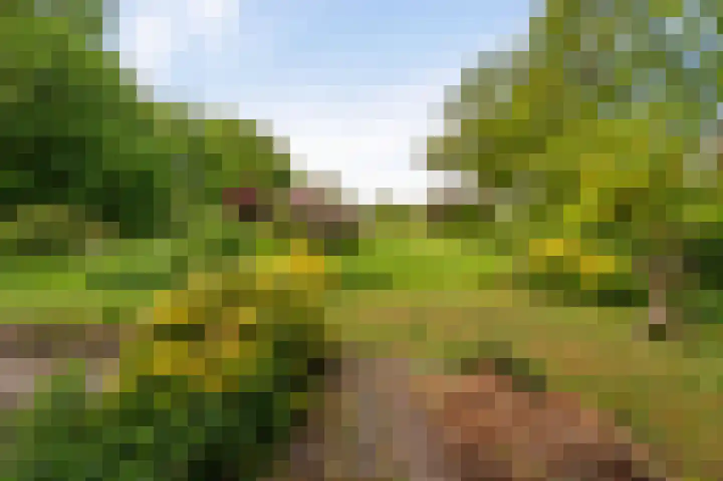 Schoterpad 4 B Bant thumbnail 11