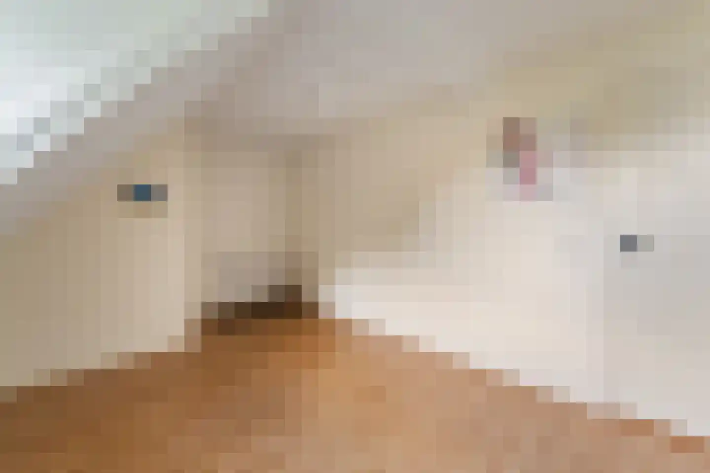 Schoterpad 4 B Bant thumbnail 23