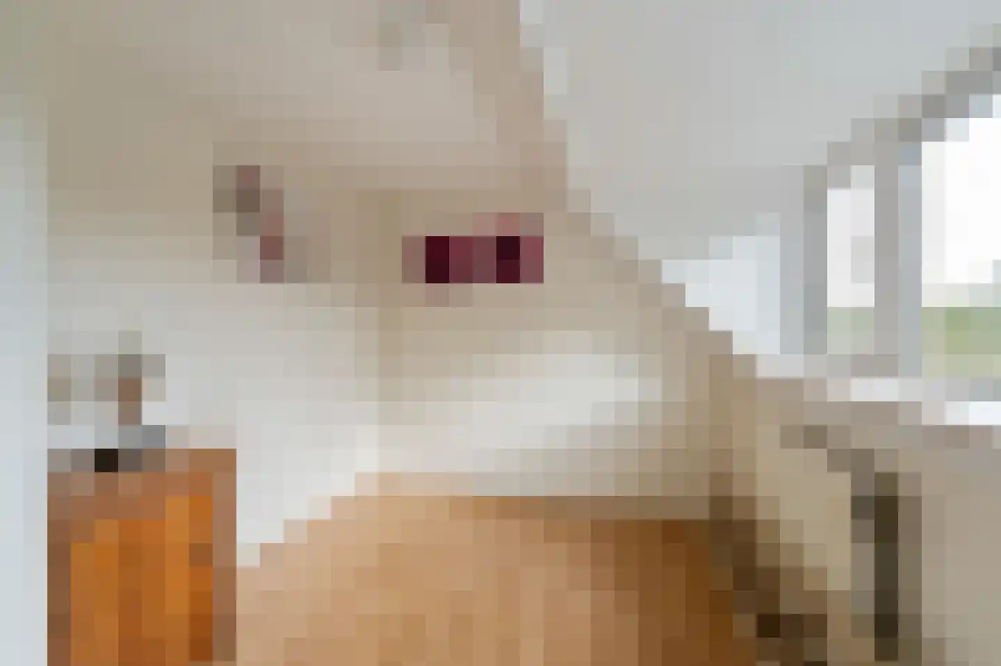Schoterpad 4 B Bant thumbnail 28
