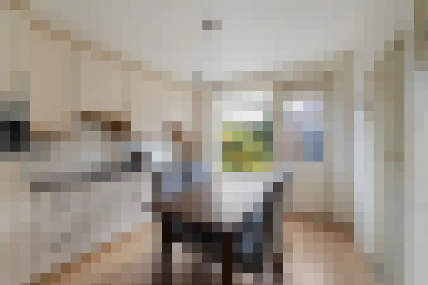 Schoterpad 4 B Bant foto 3