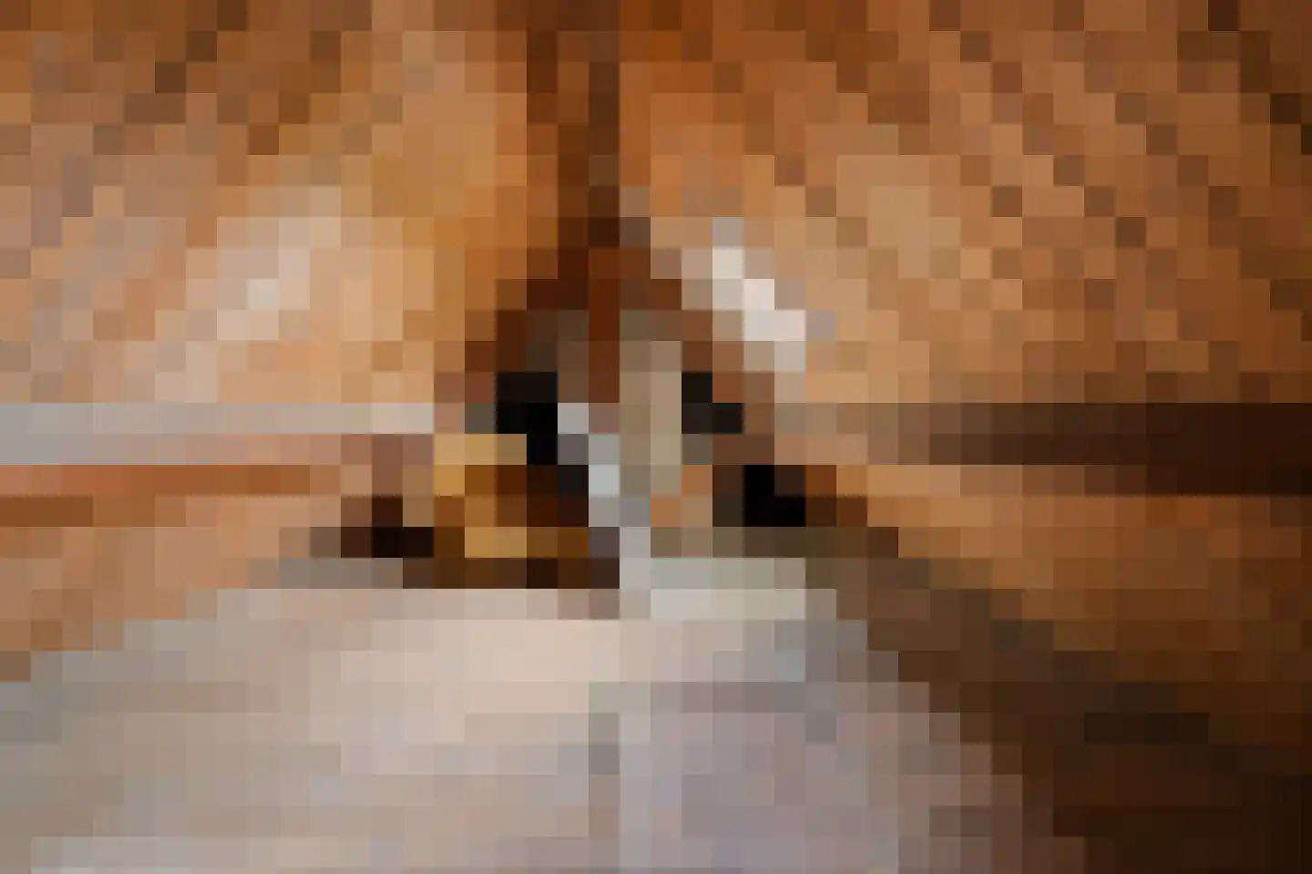 Schoterpad 4 B Bant thumbnail 31