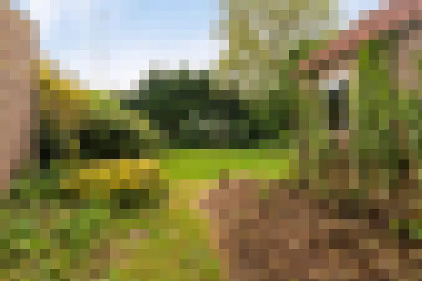 Schoterpad 4 B Bant thumbnail 32