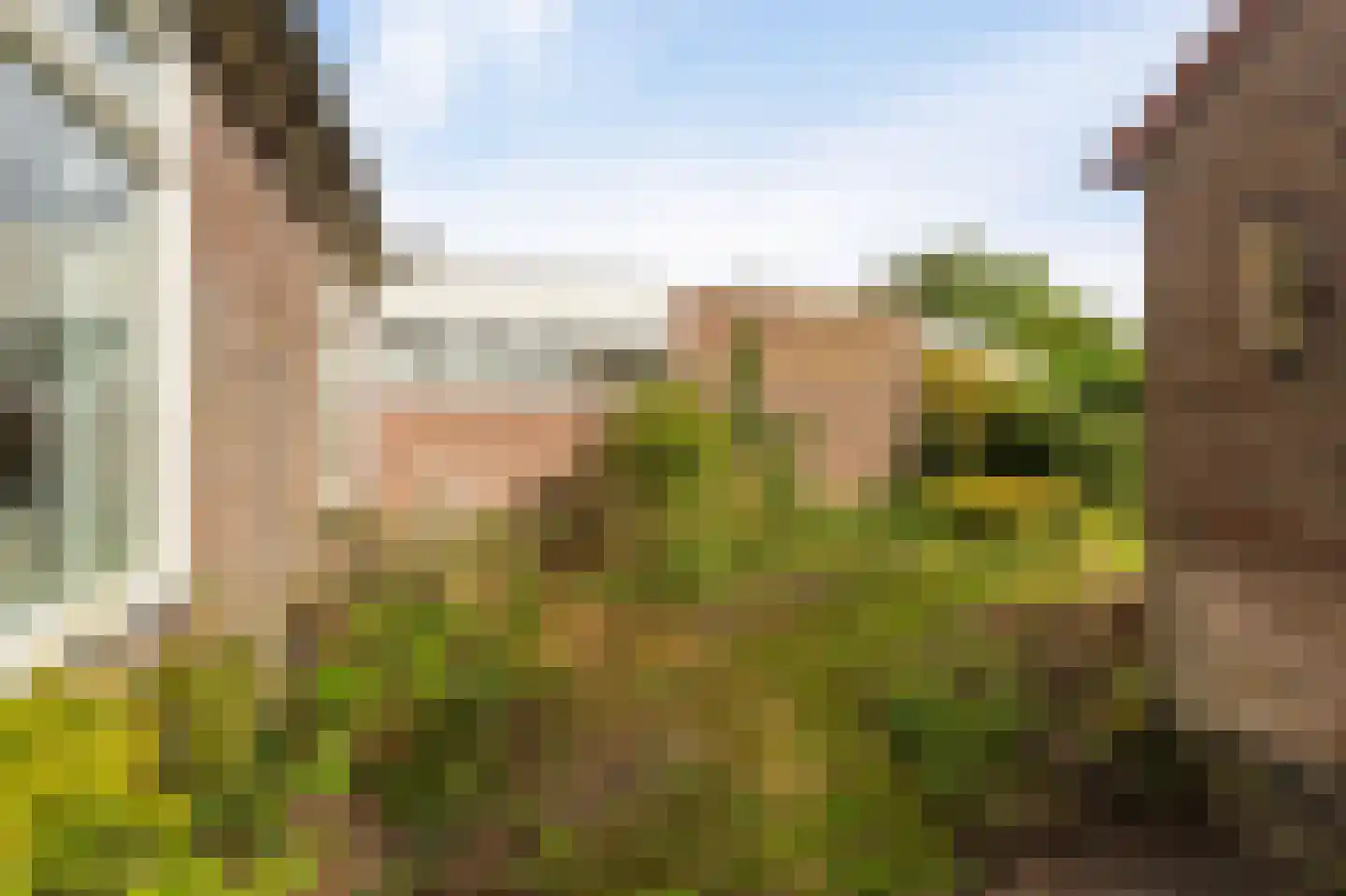 Schoterpad 4 B Bant thumbnail 33