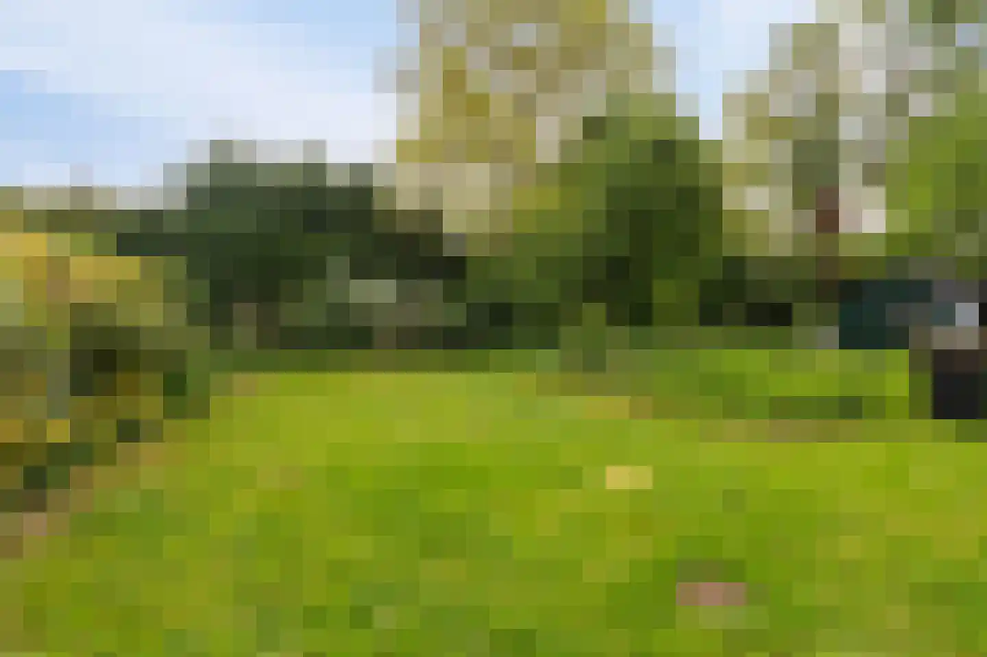 Schoterpad 4 B Bant thumbnail 34